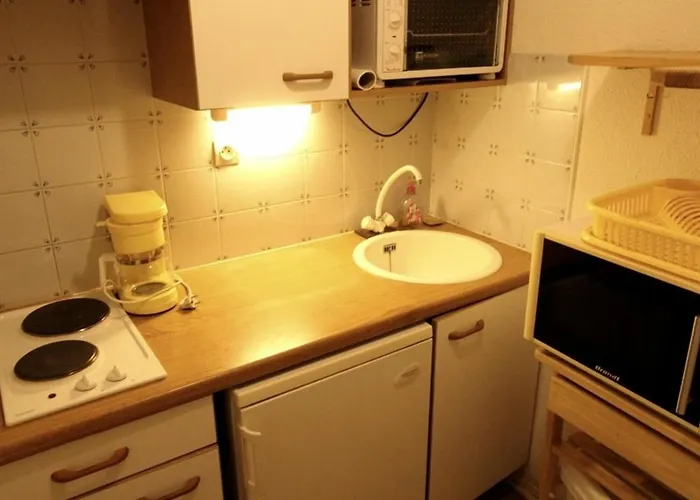 Bagnères-de-luchon, 1 Pièce, 4 Personnes - Fr-1-313-193